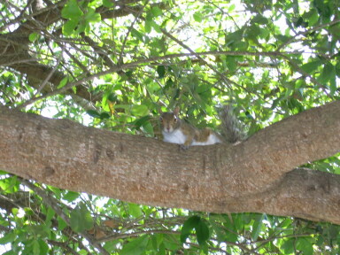 IMG8794resize_Vye.jpg