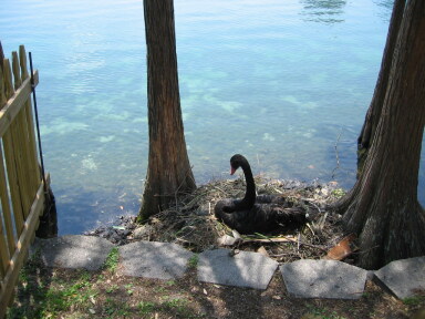 IMG8796resize_Vye.jpg
