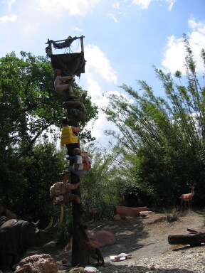 IMG8825resize_Vye.jpg