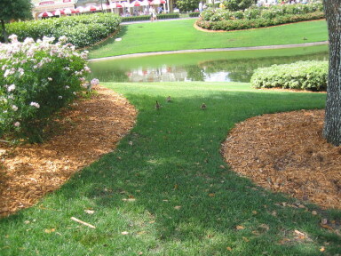 IMG2067resize_Vye.jpg
