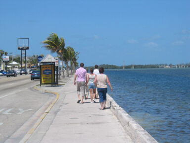 IMG2106_Zn.jpg