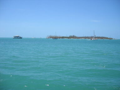 IMG8977_Zn.jpg