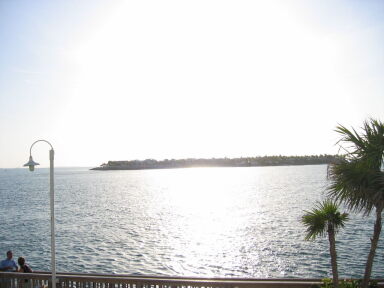 IMG8986_Zn.jpg
