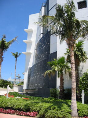 IMG9051_Zn.jpg