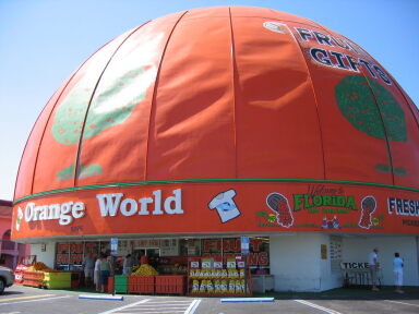 IMG9081_Zn.jpg