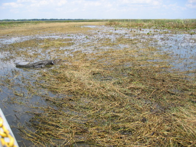IMG9108_Zn.jpg