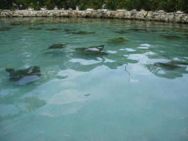 IMG9202_Zn.jpg