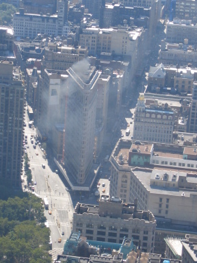 IMG0251_Zn.jpg