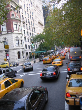 IMG0324_Zn.jpg