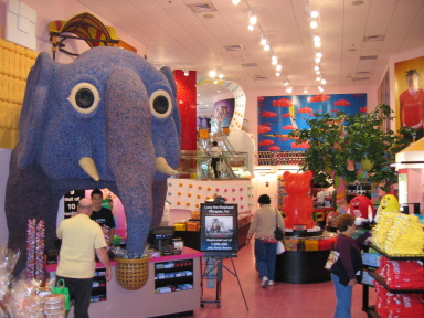 IMG0136_Zn.jpg