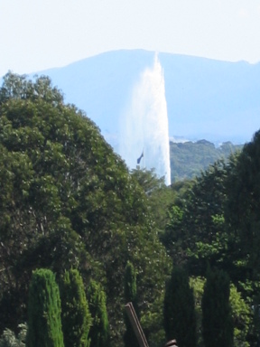 IMG3562_Zn.jpg