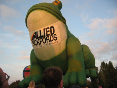 IMG3656_Zn.jpg