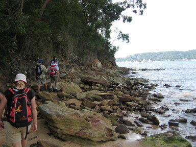 IMG3867_Zn.jpg