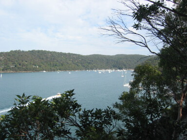 IMG3882_Zn.jpg