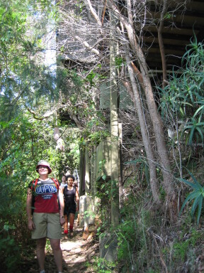 IMG3885_Zn.jpg