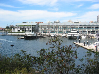 IMG3914_Zn.jpg