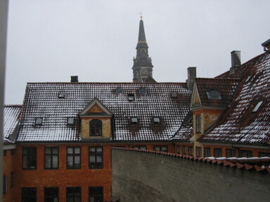 IMG7225_Zn.jpg