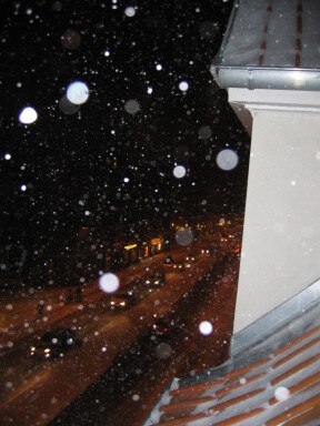 IMG7270_Zn.jpg