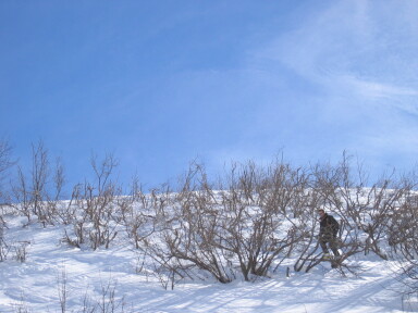 IMG7338_Zn.jpg
