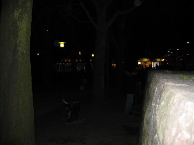 IMG7487_Zn.jpg