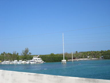 IMG8947_Zn.jpg