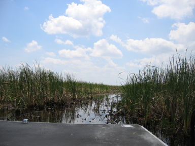 IMG9105_Zn.jpg