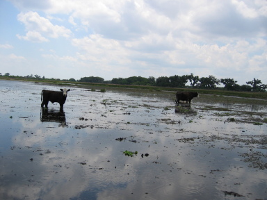 IMG9113_Zn.jpg