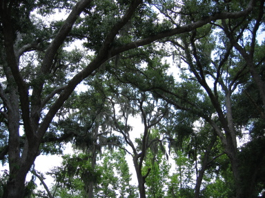 IMG9117_Zn.jpg