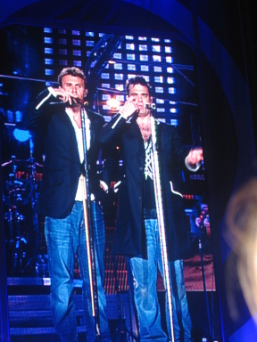 IMG9610_Zn.jpg