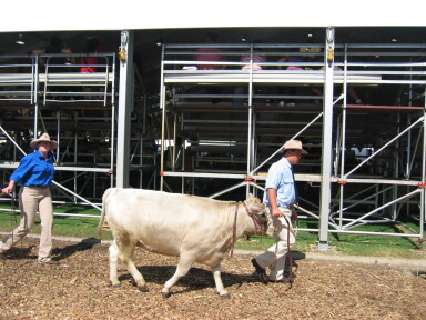 img3723_Zn.jpg