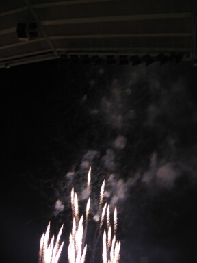 img3845_Zn.jpg
