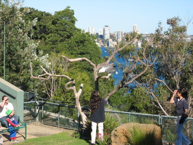 img4083_Zn.jpg