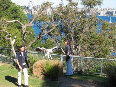 img4084_Zn.jpg