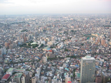 img4312_Zn.jpg