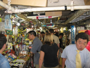 img4493_Zn.jpg