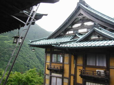 img6114_Zn.jpg