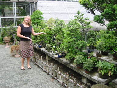 img6140_Zn.jpg