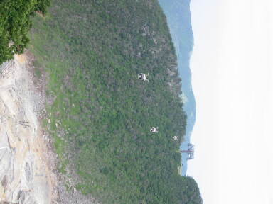 img6192_Zn.jpg