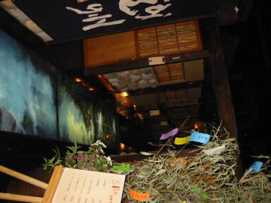 img6222_Zn.jpg