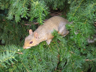 IMG0045_Zn.jpg