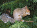 IMG0046_Zn.jpg