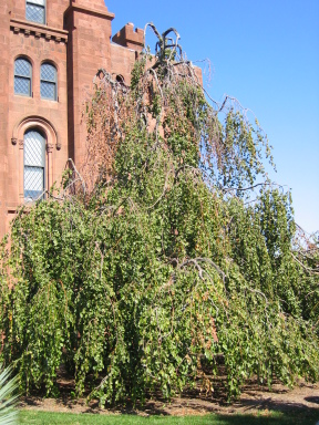 IMG0047_Zn.jpg