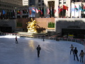 IMG0156_Zn.jpg