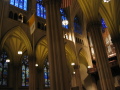 IMG0163_Zn.jpg