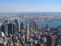 IMG0257_Zn.jpg