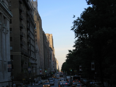 IMG0275_Zn.jpg