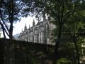 IMG0291_Zn.jpg