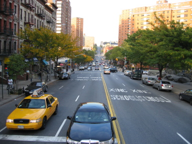 IMG0310_Zn.jpg