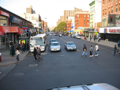 IMG0313_Zn.jpg