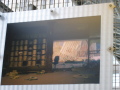IMG0334_Zn.jpg
